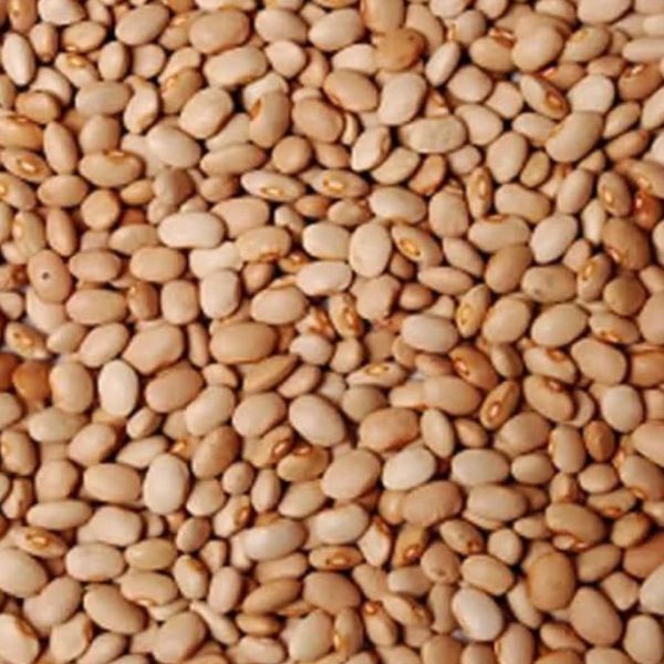 Beans